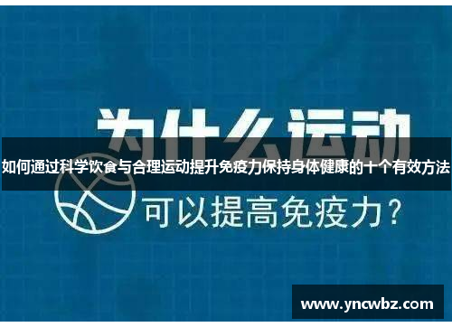 如何通过科学饮食与合理运动提升免疫力保持身体健康的十个有效方法